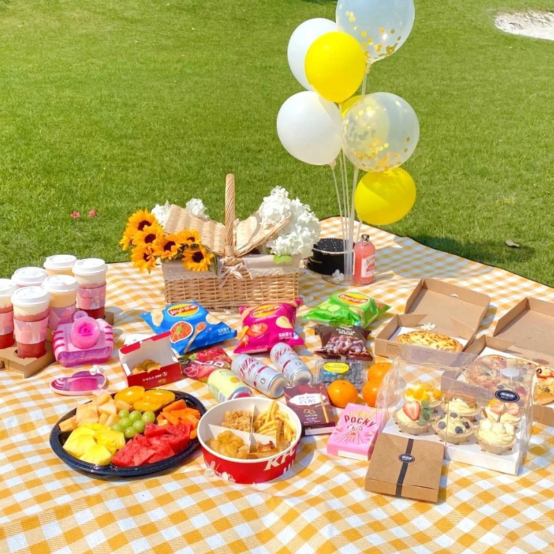 200x200cm Extra Large Picnic M - Outdoor Camping Mat Waterproof review and price