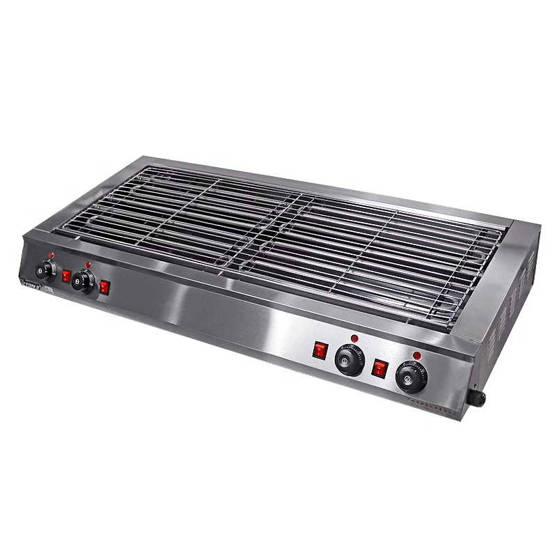 Portable Electric Stainless St - Outdoor Indoor Camping review and price