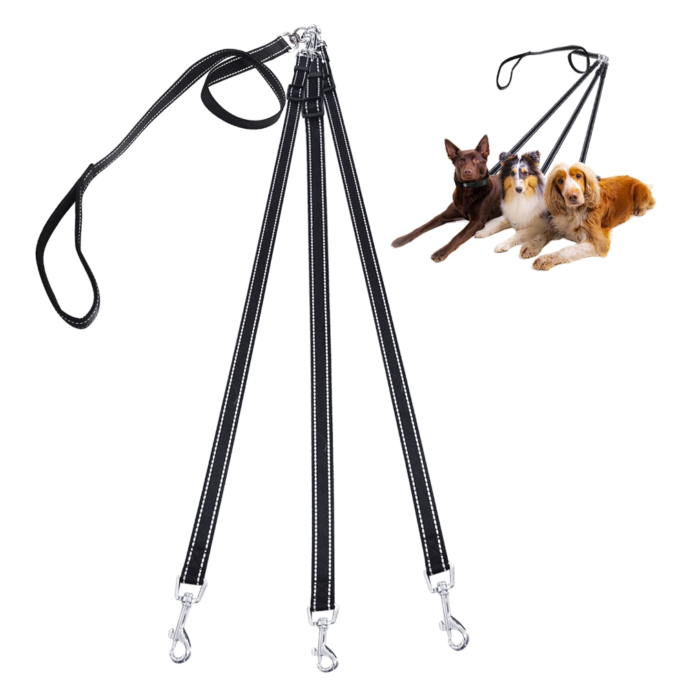 Durable 3-in-1 Nylon Dog Leash - Outdoor Camping Carpet review and price